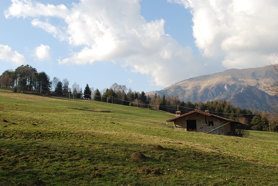 Promenade sur le sentier du Falecchio